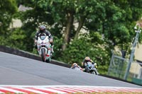 Lower Group White Bikes